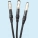 Express 3-LIGHTS
